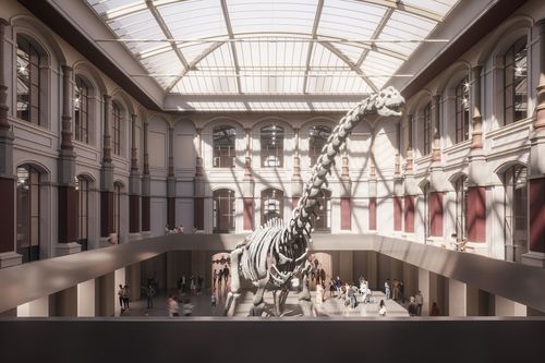 WXCA z nagrodą w konkursie na siedzibę Muzeum Historii Naturalnej w Berlinie!